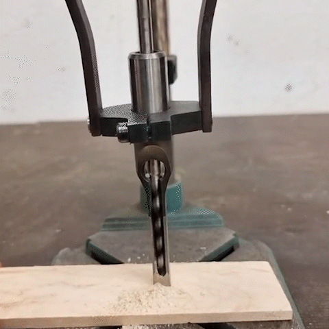 Foret a bois | Professionnel