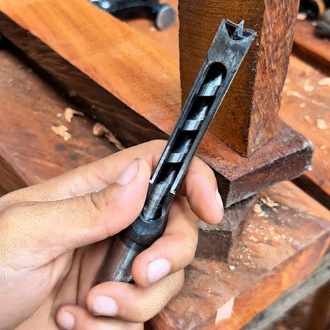 Foret à bois | Professionnel